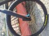 2012-02-12 13.54.56.jpg