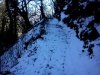 DSC00024_mini.jpg