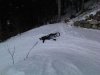 IMG02039-20120211-1052.jpg