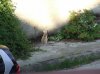 DSCF7421.jpg