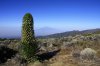 _MG_8341.jpg