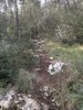 2012-03-04-001.jpg