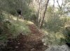 2012-03-04-005.jpg