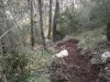 2012-03-04-007.jpg