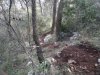 2012-03-04-008.jpg