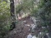 2012-03-04-009.jpg