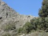 DSC00346.jpg