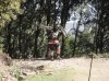 DSC00347.jpg