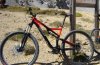stumpjumper29.jpg