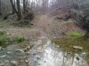 17032012207.jpg
