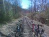 29032012202.jpg