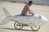 1453-bici_pesce.jpg