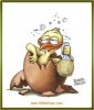 Vignetta_Pasqua_09.jpg