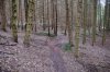 DSC_1609.jpg