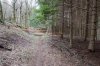 DSC_1614.jpg