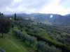 DSC00063.jpg