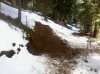 2012-04-21 12.21.07.jpg