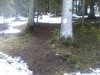2012-04-21 12.21.56.jpg
