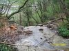 100_0127.jpg