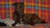 SAM_1268.jpg