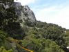 DSCN5271.jpg