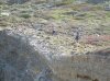 DSCN0970.jpg
