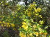 Prova prima parte 9 Fossi 25.04.2012 021.jpg