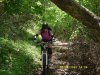 SDC10030.jpg