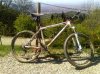 Mountainbike Colle della maddalena.jpg