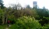 IMAG0528.jpg