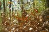 DSC00094.jpg