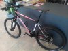 stumpjumper comp m5.jpg
