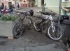 IMG037_bassa.jpg