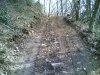 26032006(002) 700 200.jpg