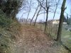 26032006(004) 700 200.jpg