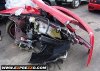 ferrari4.jpg