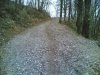 17042006(017) p.jpg