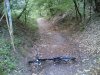 25042006(001) p.jpg