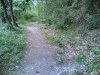 25042006(002) p.jpg