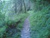 25042006(008)p.jpg