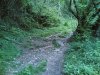 25042006(013) p.jpg