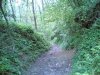 25042006(022) p.jpg