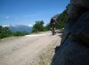IMG_3239.jpg