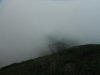 DSCF1394.jpg