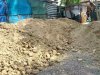 IMG_20120609_155309.jpg