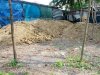 IMG_20120609_155347.jpg