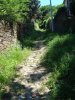 DSC01867.jpg