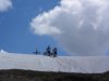 DSCN7947.jpg