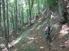17_06_2012 _1.jpg