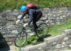 avabike picc.jpg